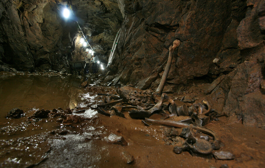 2007년 7월 경북 경산시 평산동 산42-1 코발트광산 갱도 안에서 발굴된 한국전쟁기 민간인 학살 희생자 유해들. 이종근 기자  root2@hani.co.kr