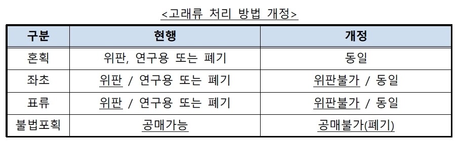 개정된 ‘고래고시’에 따라 달라진 고래 사체 처리 기준. 해양수산부 제공