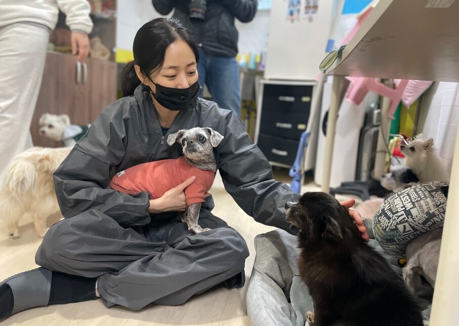 지난달 30일 배우 김효진씨가 경기 남양주시 동물자유연대 온센터를 찾아 봉사를 마친 뒤 노령견들과 만나고 있다. 김지숙 기자 suoop@hani.co.kr