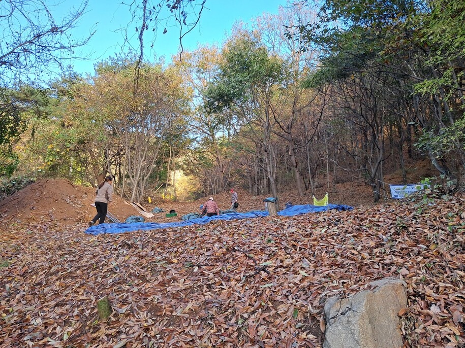 충남 아산시 염치읍 산97번지 서원리 동막골 유해발굴 현장. 7일 아침, 현장을 덮었던 방수포를 걷어내고 있다. 고경태 기자