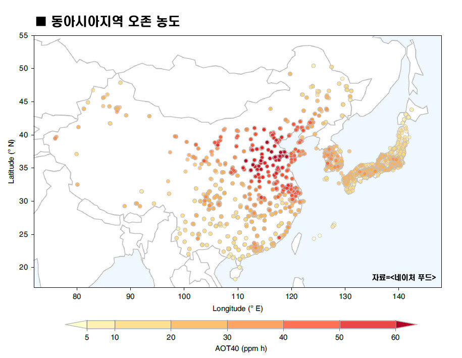 AOT40은 시간당 오존농도가 40ppb를 넘는 경우의 오존 농도의 합을 말한다.