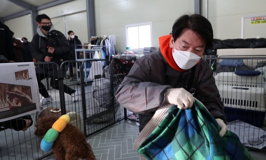 국민의당 안철수 대선후보가 지난달 7일 오전 동물보호단체 위액트 남양주 대피소에서 봉사활동을 하고 있다. 국회사진기자단 제공