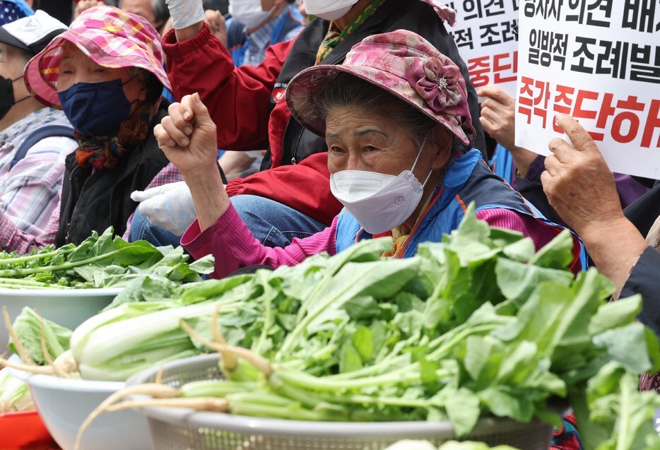 노점상인들이 24일 오전 서울 중구 서울시의회 앞에서 열린 서울시 노점말살 조례 제정 저지! 서울시민 공청회 청구 서명운동 돌입 및 투쟁선포 기자회견에서 구호를 외치고 있다. 백소아 기자 thanks@hani.co.kr