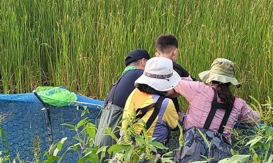 물방개 등 습지 생물을 대체 서식지로 옮기는 모습. 이승욱 기자