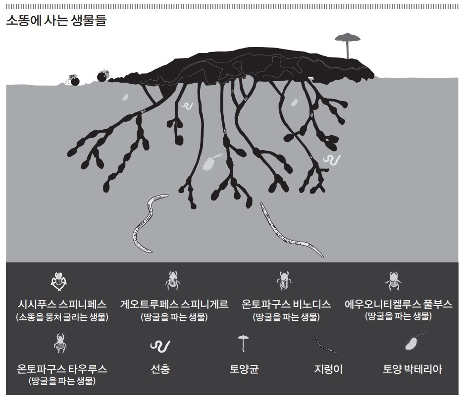 눌민 제공 ※ 이미지를 누르면 크게 볼 수 있습니다.