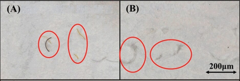 건조기에서 나온 극세사. 왼쪽이 폴리에스터, 오른쪽이 면 극세사다. Environmental Science &amp; Technology Letters