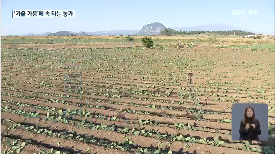 지난 14일 &lt;한국방송&gt; 뉴스에 방송된 제주 지역 가뭄 소식. 한국방송 뉴스 갈무리