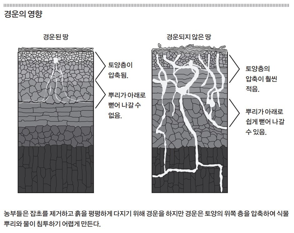 눌민 제공 ※ 이미지를 누르면 크게 볼 수 있습니다.