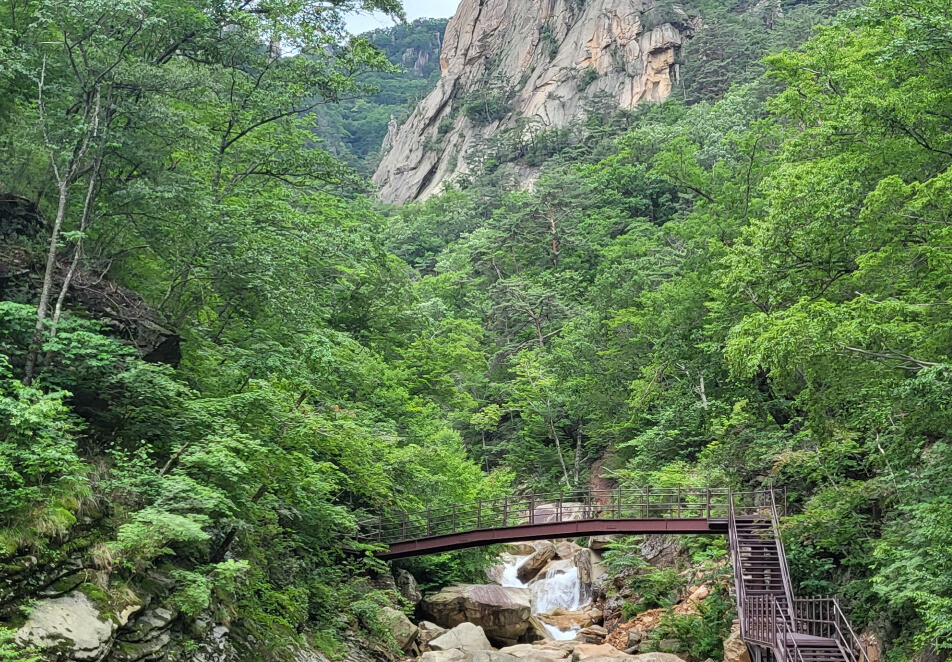 안전예방 조처를 마친 설악산국립공원 흘림골 탐방로가 다음달 6일부터 재개방된다. 국립공원공단 제공