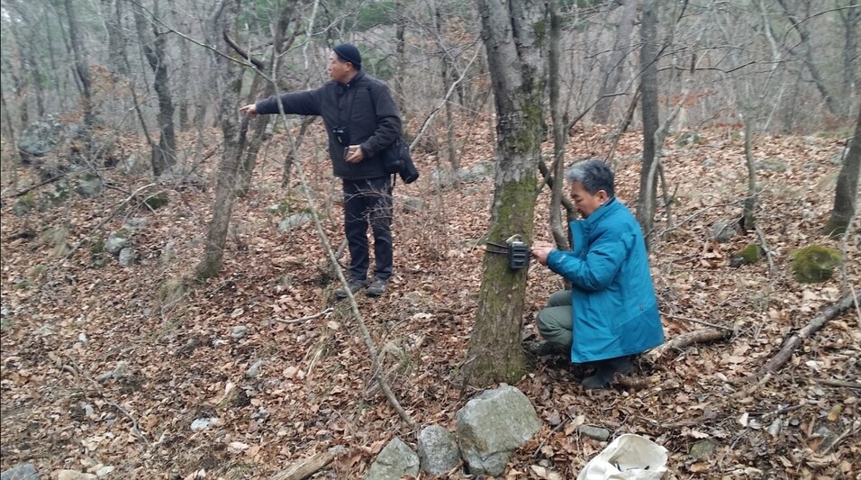 한상훈 한반도야생동물연구소 소장이 반달곰 발자국이 발견된 인근 지역에 무인카메라를 설치하고 있다. 김호진, 인제천리길 제공.