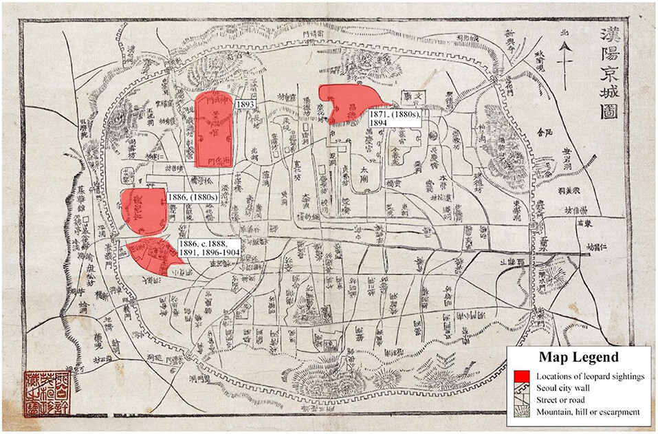 19세기 말 한양 지도. 표범 목격지점(붉은색)은 사대문 성곽 안이다. 조슈아 파월 외 (2021) ‘보전과학 최전선’ 제공.