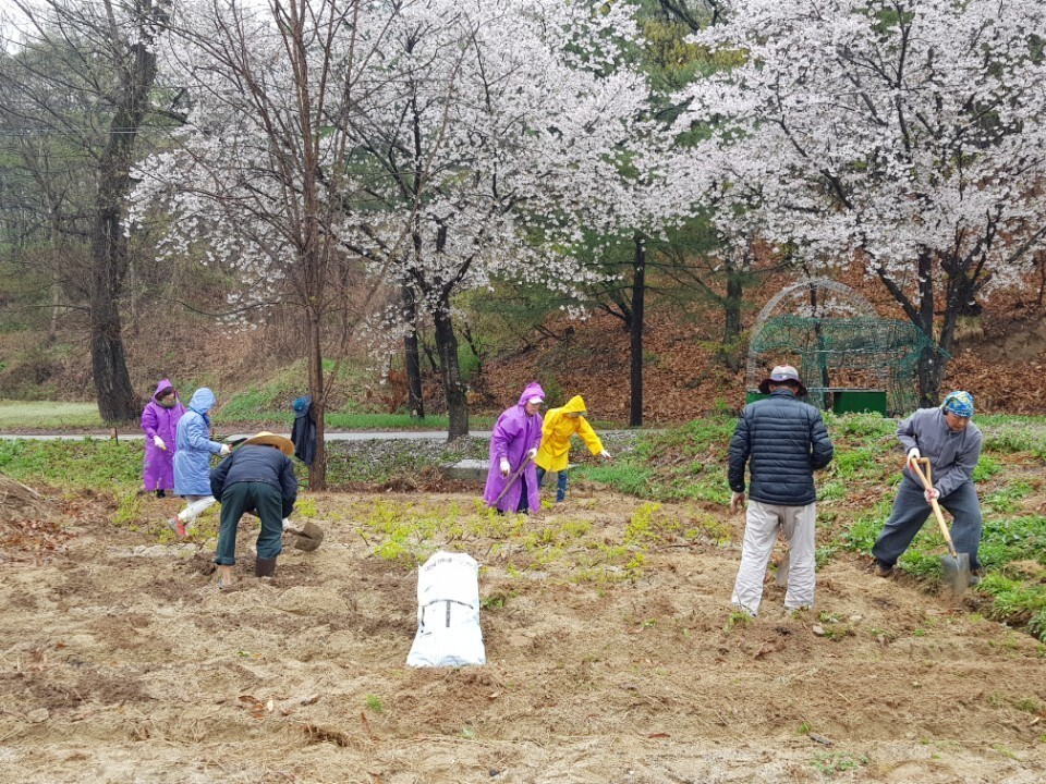 시적암 텃밭일을 함께하는 시적암 신자들. 시적암 제공