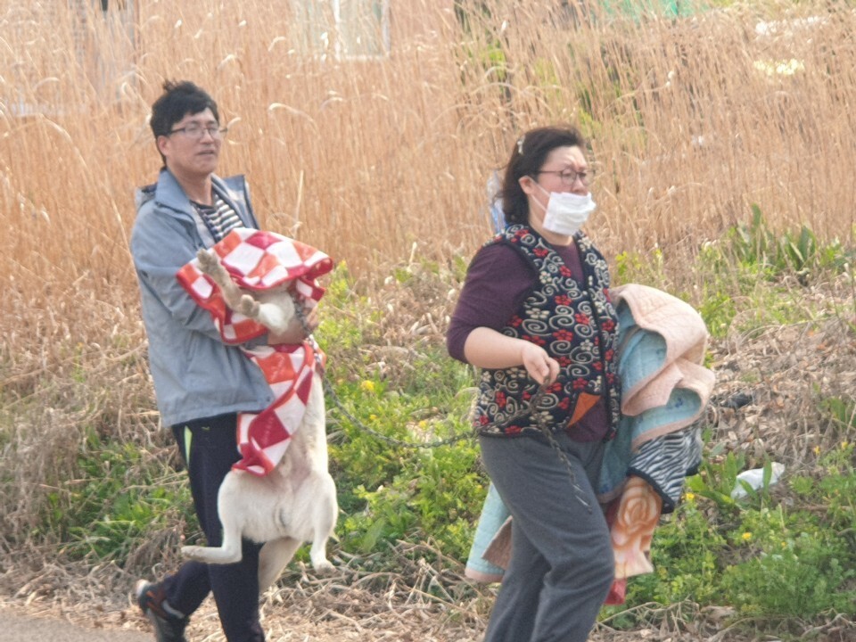 경북 안동에 사는 부부가 집에서 키우는 애완견을 이불에 싼 채 산불을 피해 대피하고 있다. 경북 소방본부 제공