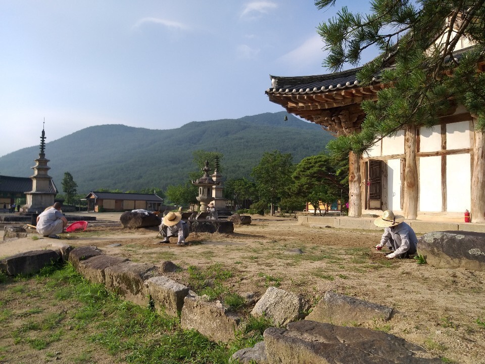 새벽마다 모두 나와 울력하는 실상사 스님들