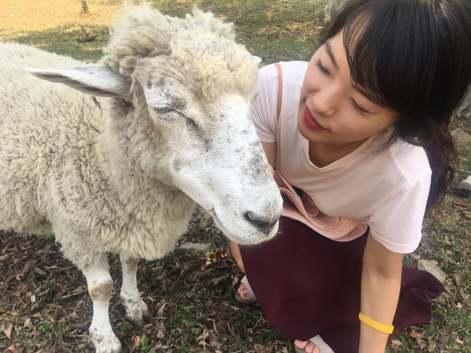 정 작가는 “앞으로도 스스로 목소리를 낼 수 없는 동물들의 삶을 작품으로 표현하고 싶다”고 전했다. 정은혜 작가 제공