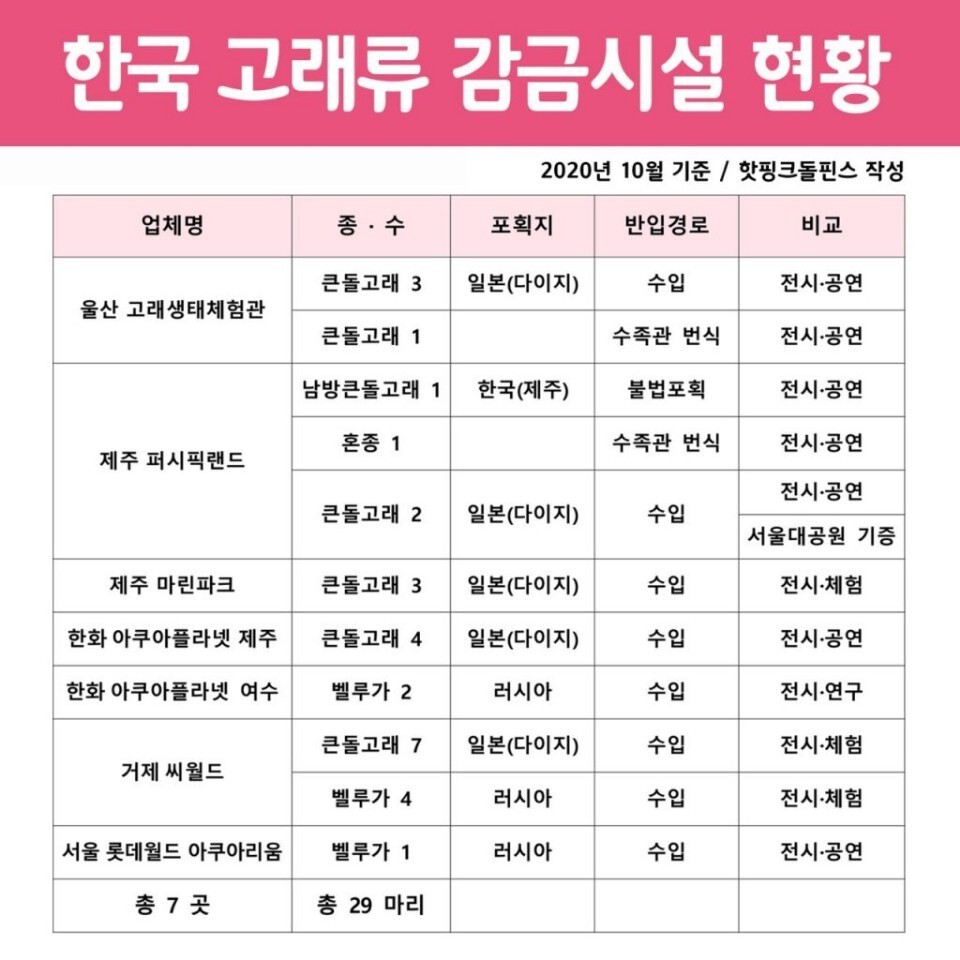 2021년 1월 기준 한국 고래류 사육시설 현황. 핫핑크돌핀스 제공