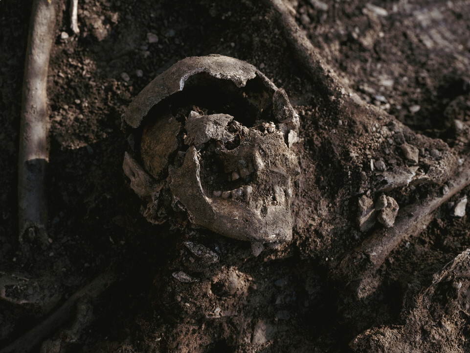 2022년 4월 대전 낭월동 2지점 유해발굴 현장에서 발견된 머리뼈. 사진 주용성 작가 제공