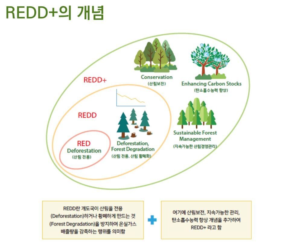 산림청 브리핑 자료 갈무리