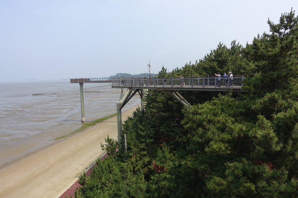 충남 서천군 장항송림산림욕장과 해변에 세워진 높이 15m, 길이 286m 크기의 장항 스카이워크.