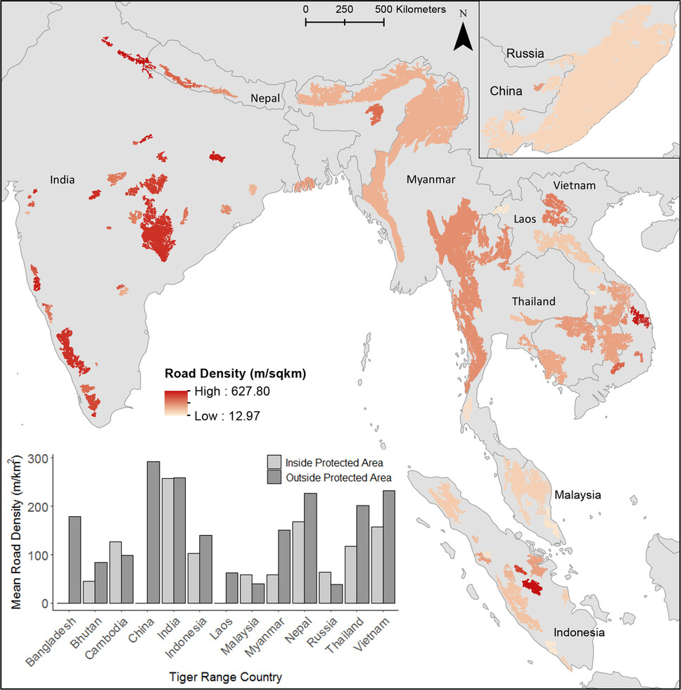 세계 호랑이 서식지의 도로 밀도(m/ ㎞). 짙은 색일수록 밀도가 높다. 아래 그래프는 보호구역 안(옅은 색)과 밖의 도로 밀도. 카터 외 (2020) ‘사이언스 어드밴스’ 제공.