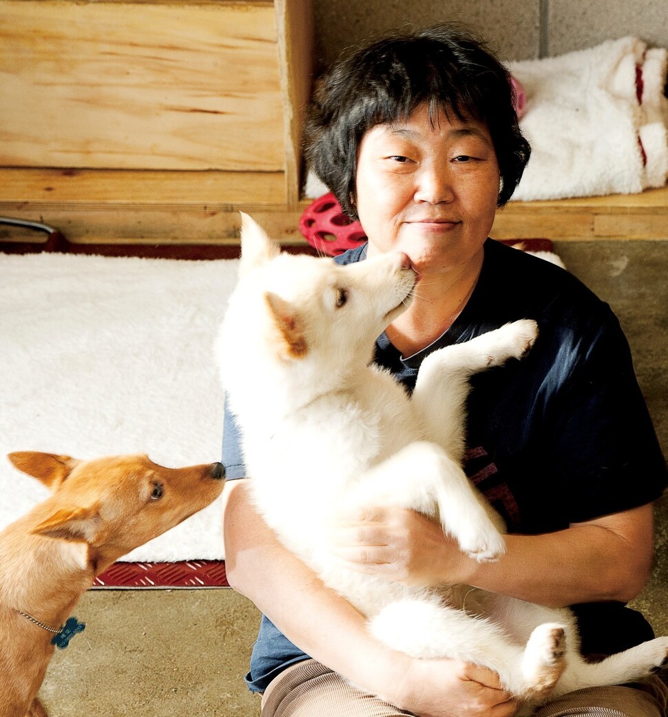 카라의 ‘아름품’ 입양카페에서 동물들과 함께 하고 있는 임순례 대표. 카라 제공