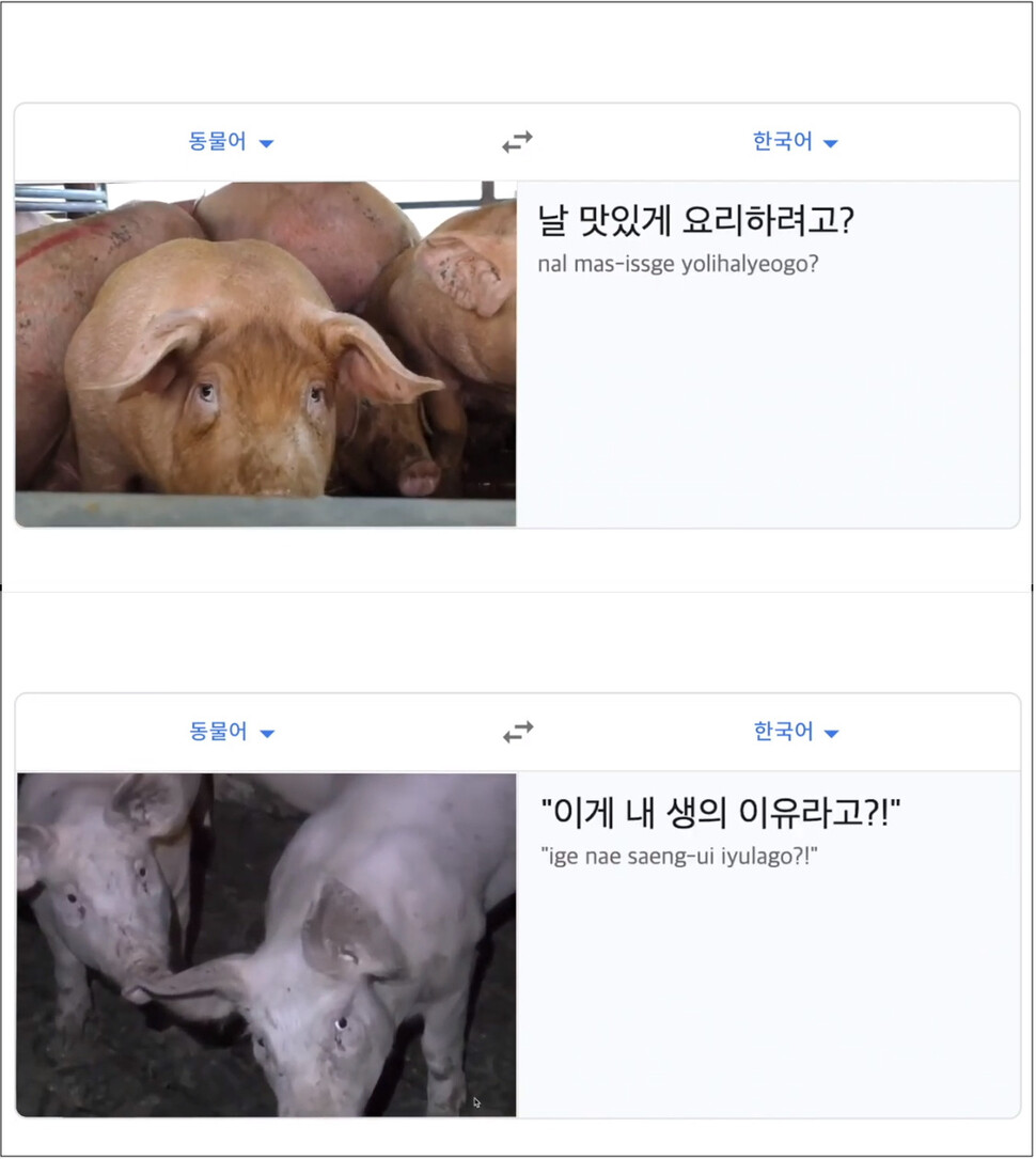 ‘동물당 매니페스토’ 전시 가운데 하나인 영상물 ‘동물심 번역기’. 구글번역기가 인간의 여러 말을 번역하듯, 영상은 동물의 말을 인간 언어로 번역하는 내용을 담고 있다.