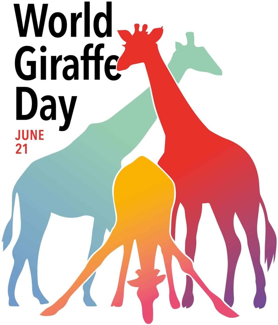 국제기린보호재단(Giraffe Conservation Foundation)