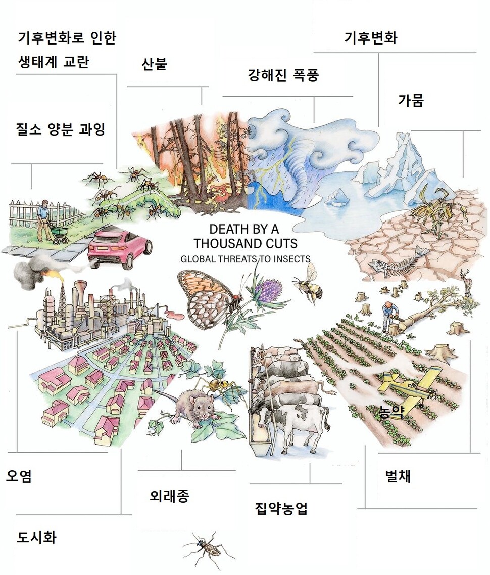 곤충 감소를 초래한 원인. 연구자들은 이를 곤충의 수족을 자르는 능지처참에 비유했다. 데이비드 와그너 외 (2021) ‘PNAS’ 제공.