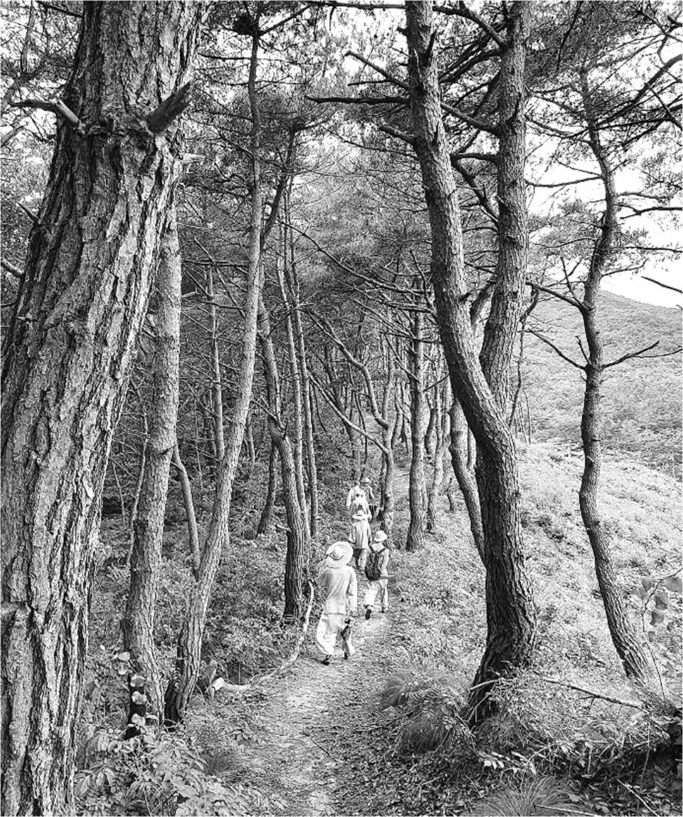 지리산 순례. 사진 실상사 제공