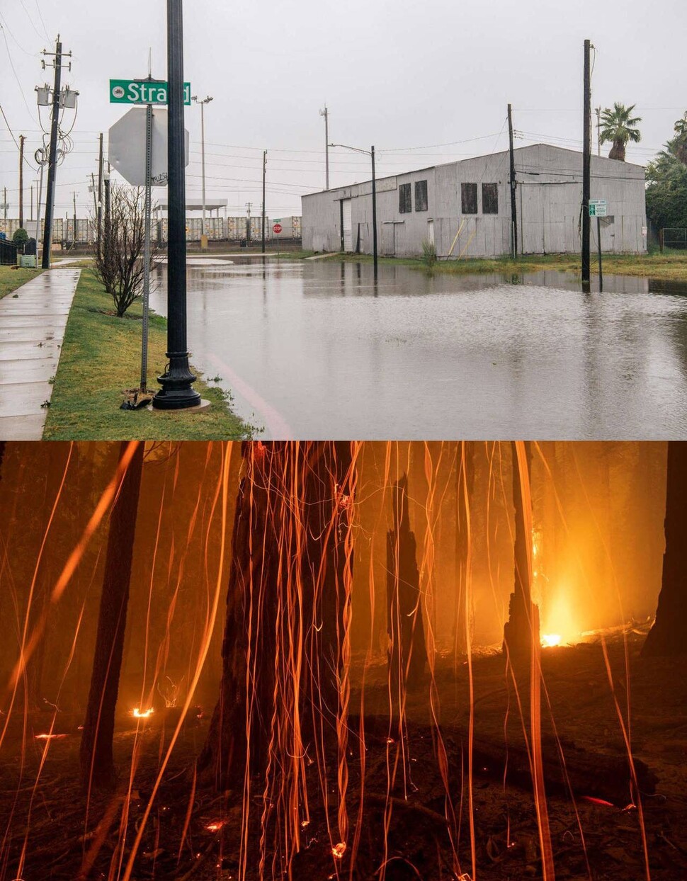 열대성 폭풍-미국 텍사스주 갤버스턴(위). 게티이미지뱅크(Brandon Bell 촬영), 산불-미국 캘리포니아 롱메도숲(아래). 게티이미지(David McNew 촬영)