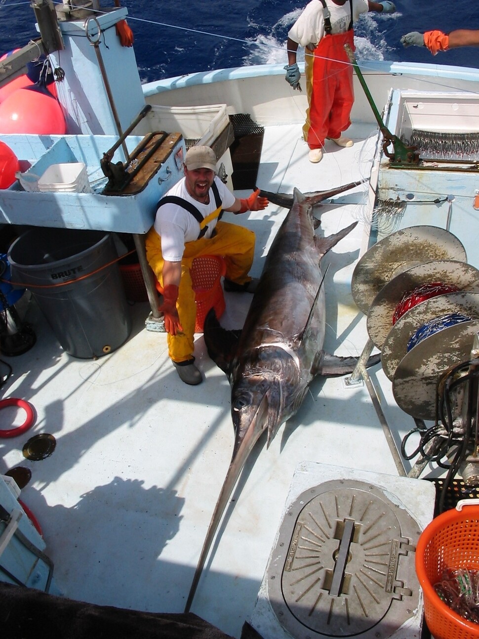 유자망 어선에 잡힌 황새치. 미 해양대기국(NOAA), 위키미디어 코먼스 제공