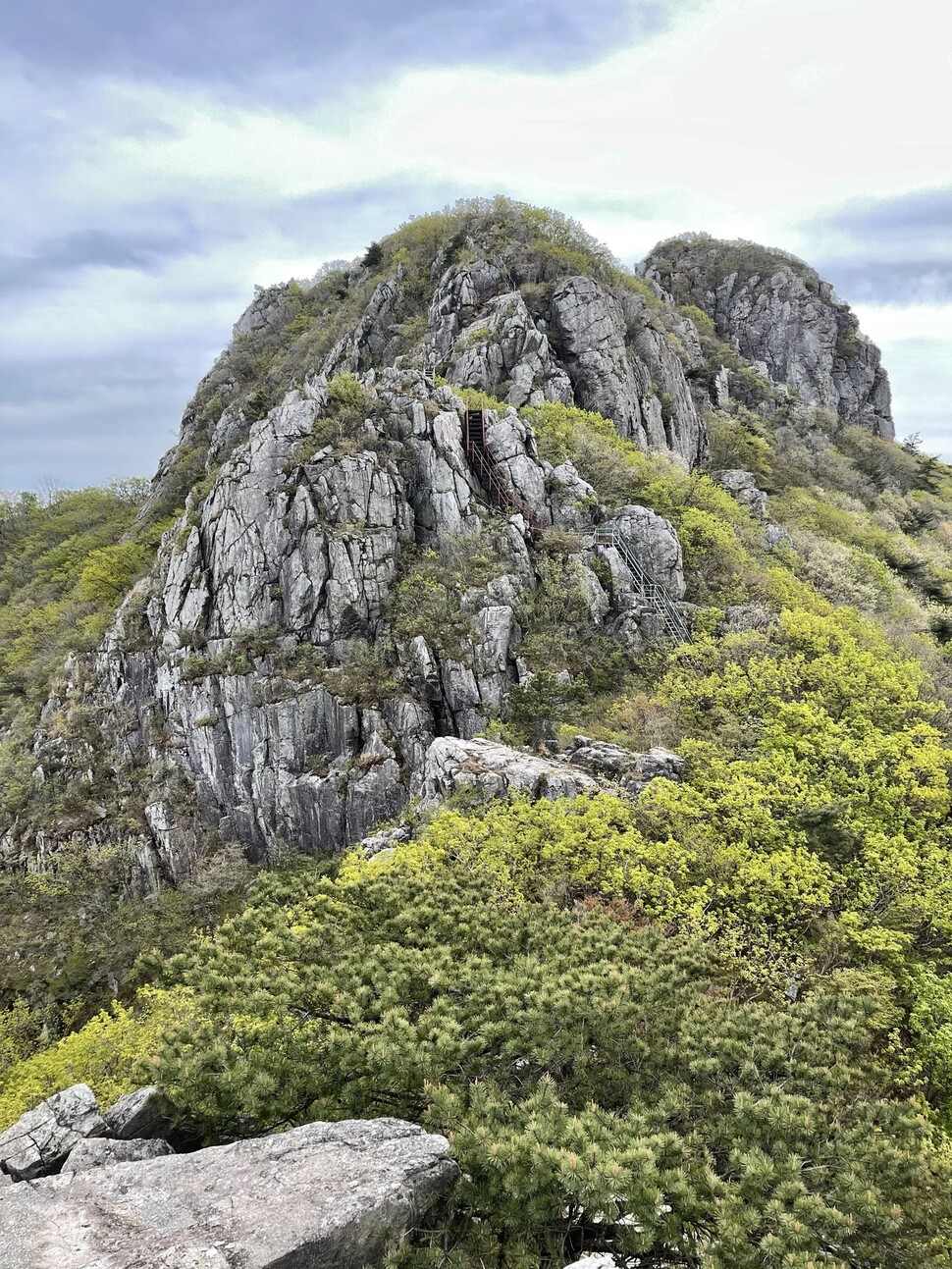 단단한 돌산 팔영산. 사진 김강은 제공