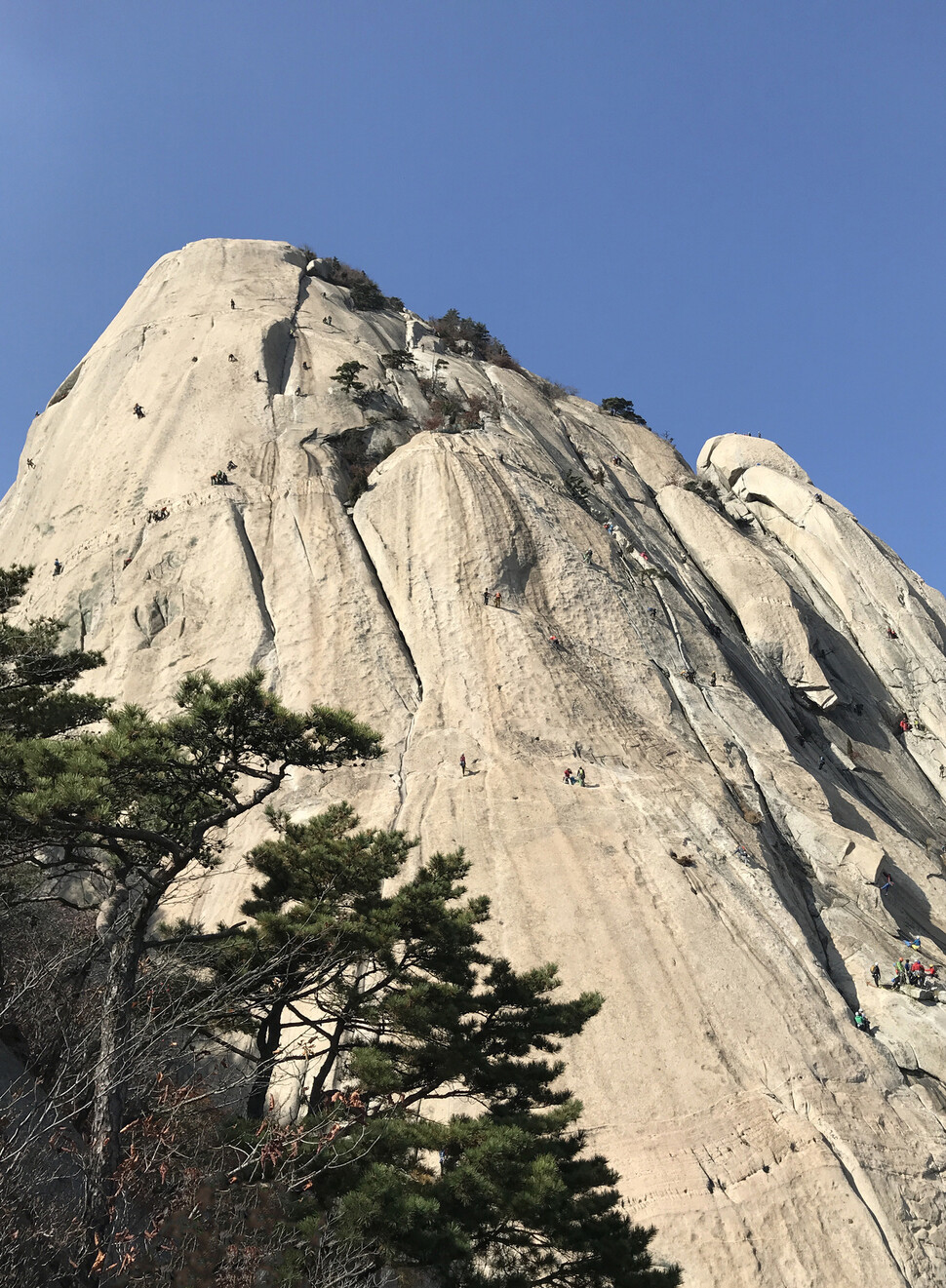 북한산 인수봉 절벽을 등반하는 사람들.