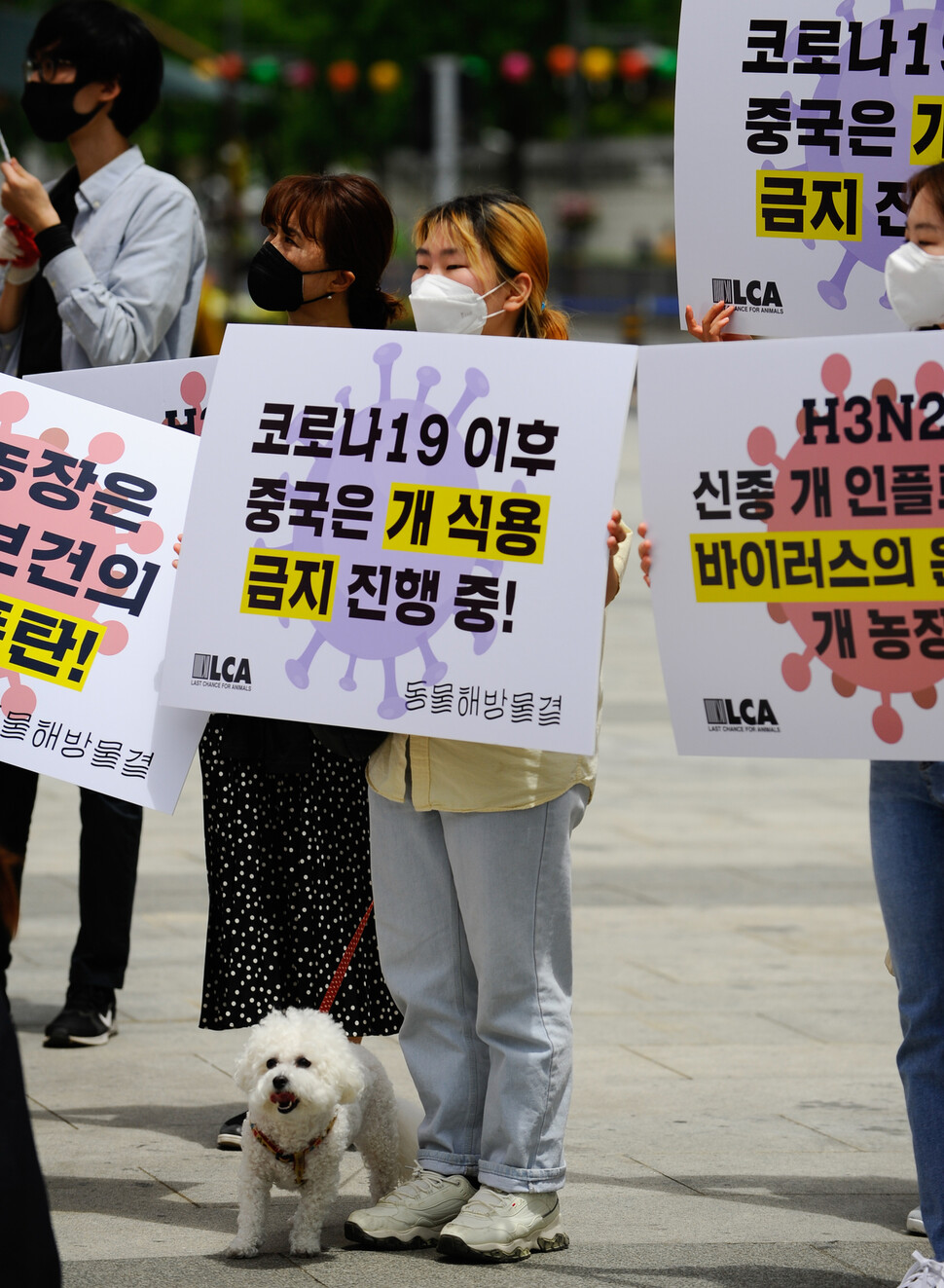 14일 오후 서울 광화문광장에서 동물권단체 ‘동물해방물결’이 개 식용 금지를 촉구하는 기자회견과 퍼포먼스를 벌이고 있다. 동물해방물결 제공