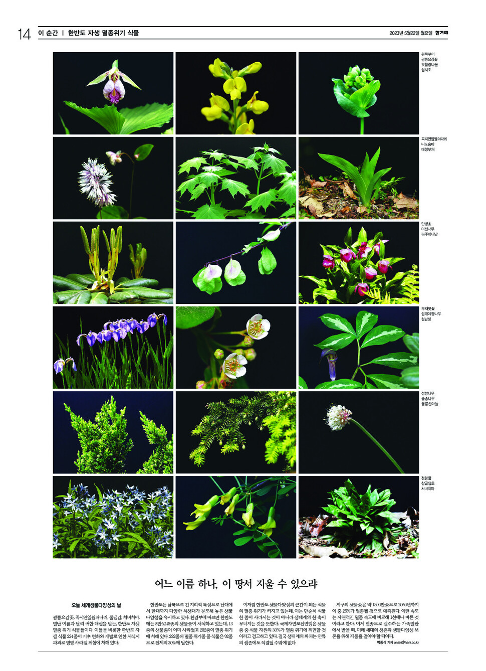 2023년 5월 22일자 &lt;한겨레&gt; 사진기획 ‘이 순간’ 지면 ※ 이미지를 누르면 크게 볼 수 있습니다. ※ 이미지를 누르면 크게 볼 수 있습니다.