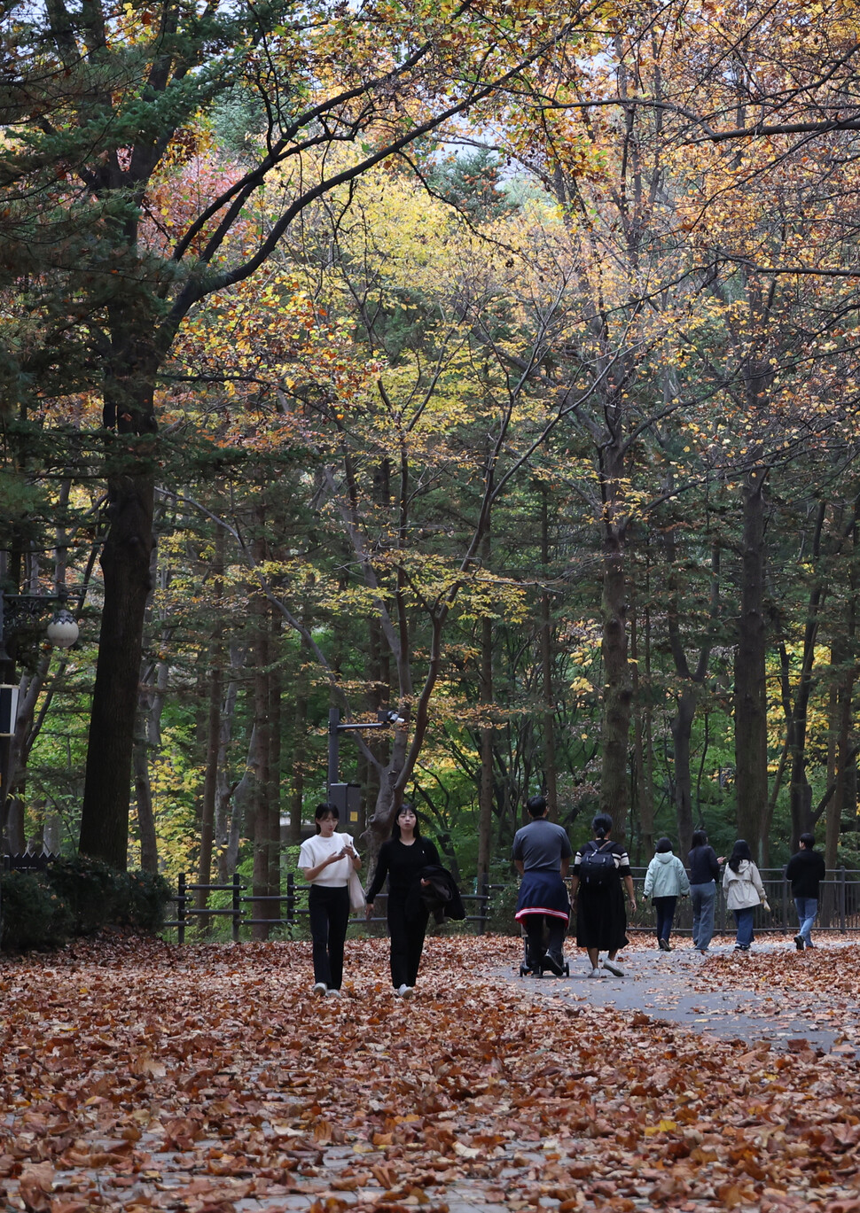 완연한 가을 날씨를 보인 1일 오후 경기 과천시 서울대공원에서 시민들이 산책을 즐기고 있다. 연합뉴스