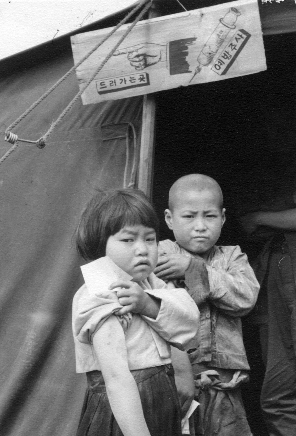1951년 6월 부산에서 예방접종한 어린이들.&nbsp;