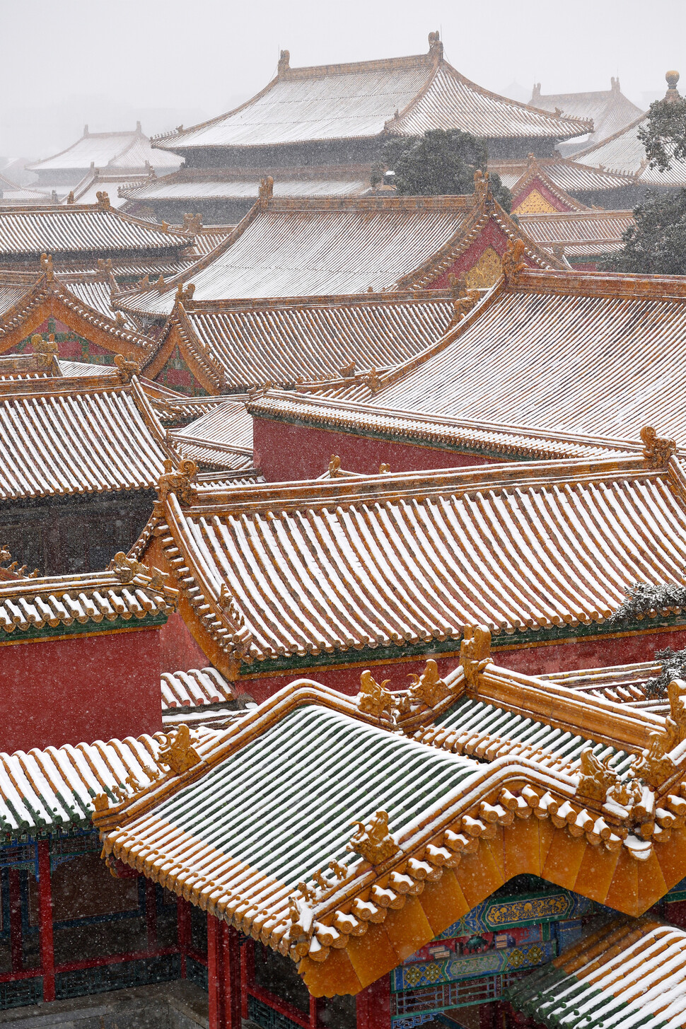 중국 자금성 건물 지붕에 눈이 살포시 쌓여 있다. 중국 고궁박물관 제공