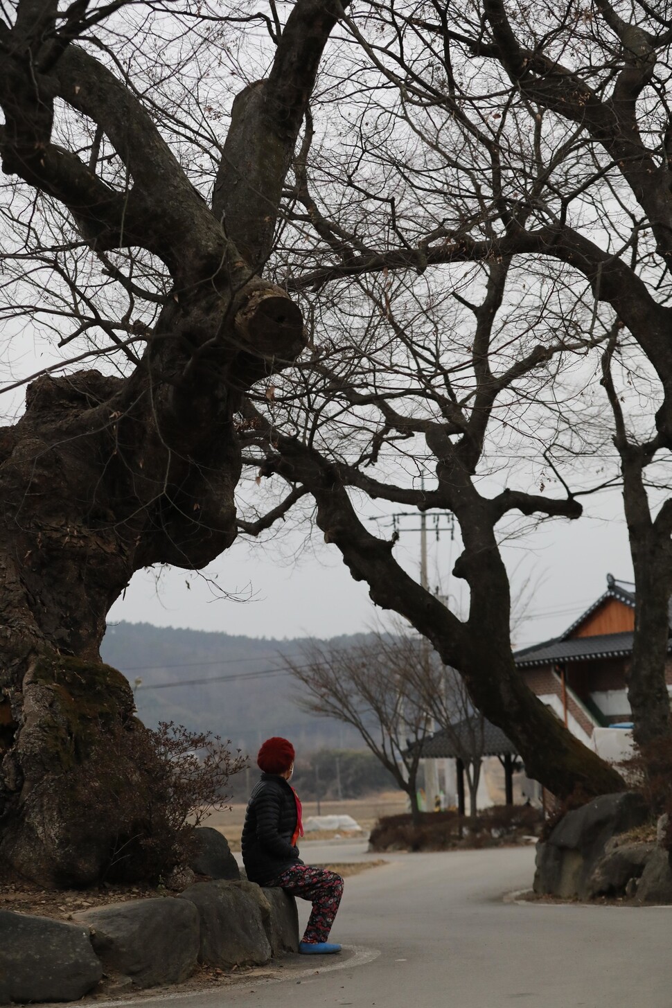 박점례 할머니가 집 앞 나무에 걸터 앉아 마을 어귀를 바라보고 있다. 곡성/백소아 기자 thanks@hani.co.kr