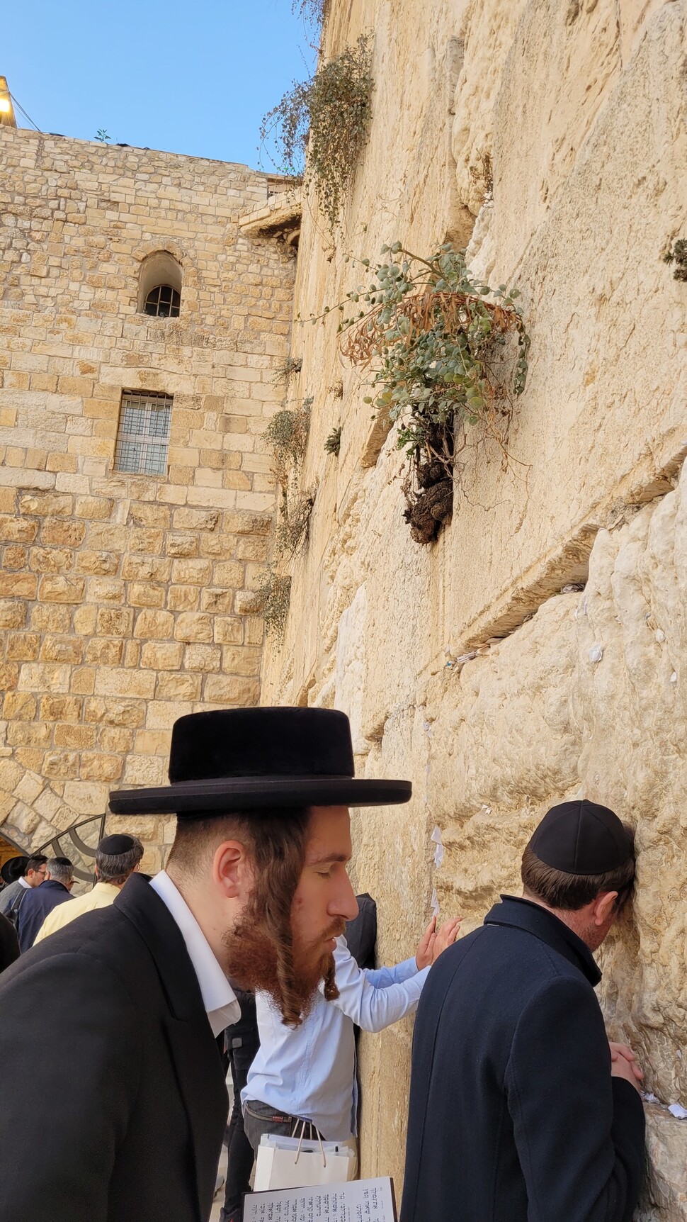 통곡의 벽에서 기도하는 랍비를 비롯한 유대인들. 사진 조현 종교전문기자