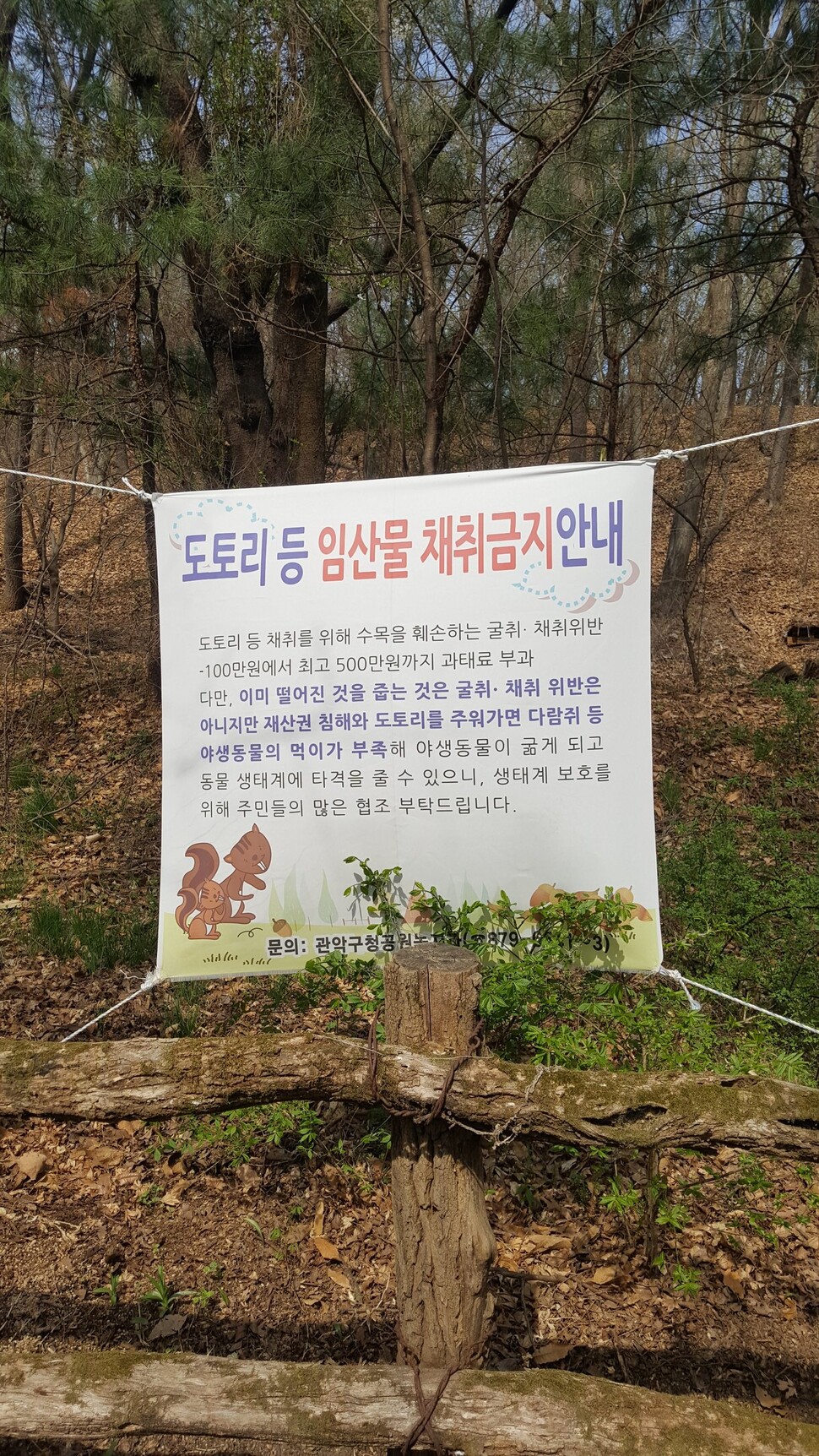 임산물은 ‘산에서 나는 물품’을 뜻한다. 굴취 또한 어린 학생들에게는 생소한 말이다. 굴취(掘取)는 사전에도 없는 말로, 산림청은 산림행정순화용어에서 ‘캐냄’ ‘파냄’으로 바꿔 쓸 것을 권했다.