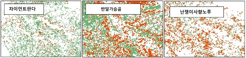 보호구역을 정비한 이후 서식지 적합도의 변화. 녹색 점은 증가, 갈색은 감소를 가리킨다. 판다의 서식여건이 크게 향상된 반면 반달곰과 사향노루가 살기에는 적합하지 않은 곳이 늘어났음을 보여준다. 왕 팡 외(2020) ‘생물학적 보전’ 제공.