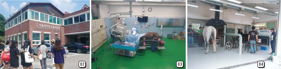 사진 제공 한국마사회