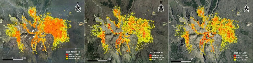 2006년, 2015년, 2021년(왼쪽부터)의 한라산 구상나무림 분포 및 밀도 변화. 소밀도(노랑) 중밀도(주황), 조밀도(빨강)의 변화를 알 수 있다. 김종갑 연구사 제공