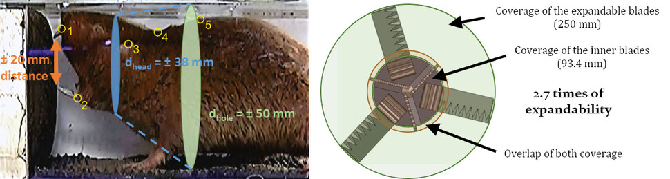 치젤 투스 및 확장형 드릴비트의 굴착 범위: 치젤 투스는 머리의 높은 자유도를 이용하여 몸체보다 큰 굴착공을 형성한다. 이를 생체모방한 드릴비트는 굴착 시 확장하여 넓은 면적을 굴착하여 공 내에서 로봇이 자유롭게 움직이게 한다. 개발된 확장형 드릴비트는 약 2.7배의 확장성을 가진다. 카이스트 제공