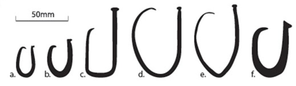 쿡 제도에서 발굴된 진주조개로 만든 낚싯바늘(a, b), 20세기 초 금속 낚싯바늘(C), 같은 장소의 20세기 후반 금속 바늘(d, e)과 조개껍데기 바늘(f). 마크 미칸 외 (2018), ‘생태학 및 진화’ 제공.