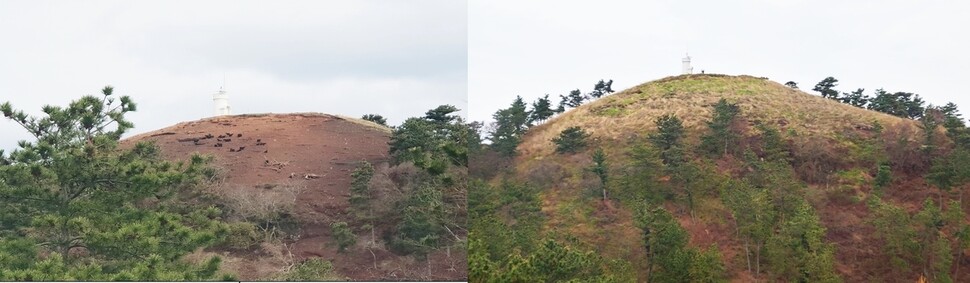 2018년 흑염소 떼가 풀과 나무를 갉아먹어 맨살을 드러낸 비양봉(왼쪽)과 올해 식생이 복원된 비양봉(오른쪽) 모습.