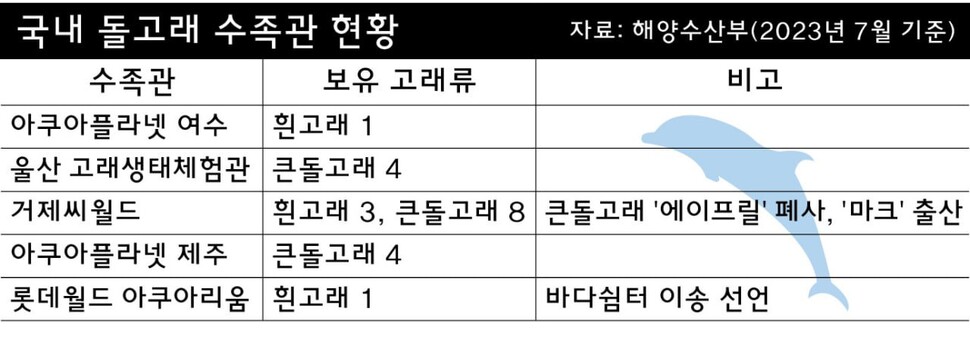 그래픽_영상소셜팀 나성숙