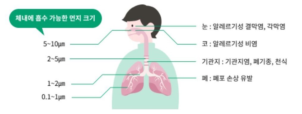 출처: 환경부 에어코리아