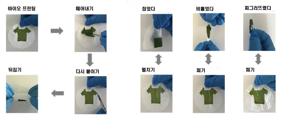 광합성 생물 재료로 만든 미니 티셔츠는 접거나 찌그러뜨리고 비틀어도 원래 모습으로 복원되는 탄력성과 강도를 지녔다. ‘어드밴스트 펑셔널 머티리얼스’ 제공